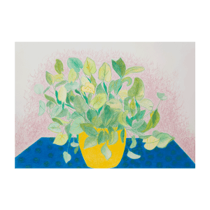 The Living Plant