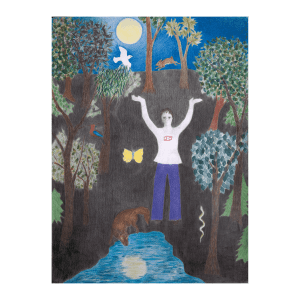 Yin consciousness and the Trickster